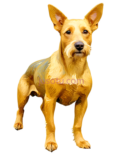 狗,站立,黄色, PNG