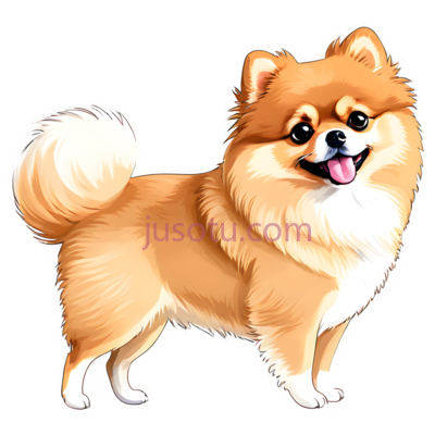 博美犬,卡通,棕色, PNG