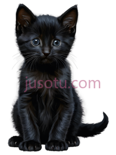 小猫,猫咪PNG