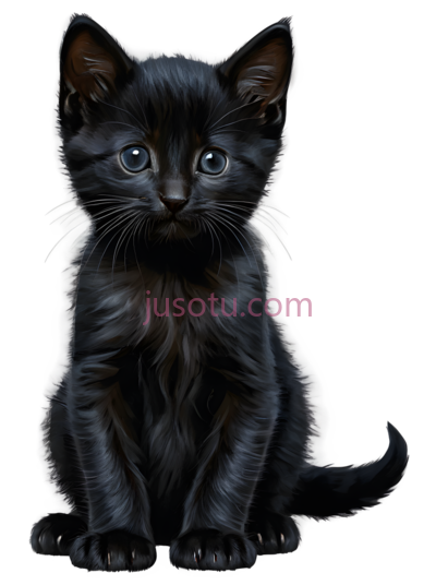 小猫,猫咪, PNG