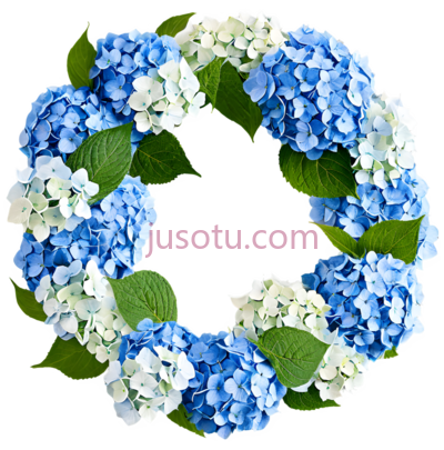 绣球花环,圆形,蓝色,白色, PNG