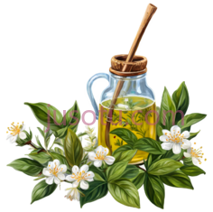 蜂蜜罐,插画,黄色PNG