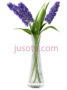 花瓶, PNG
