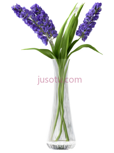 花瓶, PNG