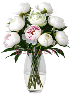 花,优雅,白色PNG