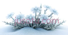 雪地,花朵,3D,白色PNG