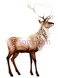 鹿,插画,棕色PNG