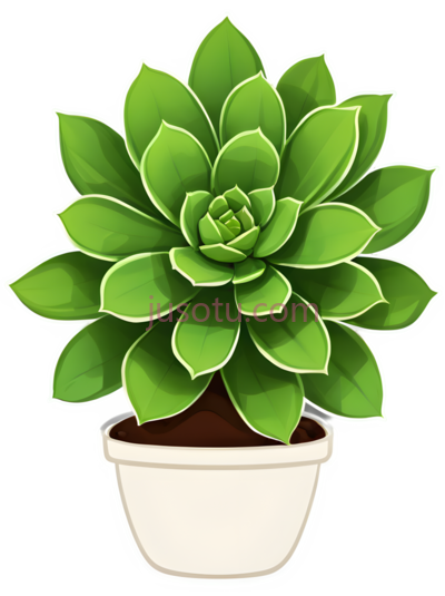 多肉植物, PNG