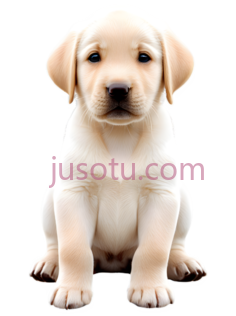 小狗,卡通,浅黄色PNG