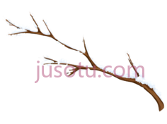 树枝,抽象,白色PNG