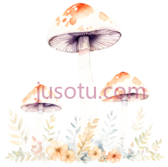 鲜花,蘑菇PNG