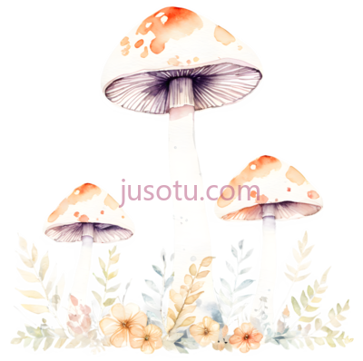 鲜花,蘑菇, PNG