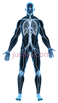 人体生理学, PNG