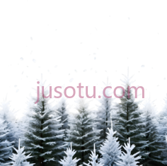 雪松,冬季,白色PNG