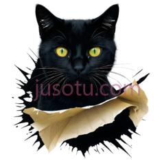 黑猫,卡通,黑色PNG