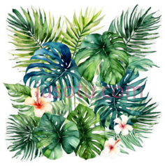 热带植物,水彩画,绿色,黄色,白色PNG