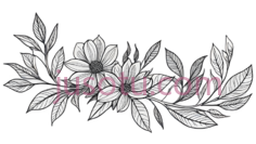 花,素描,白色,粉色PNG
