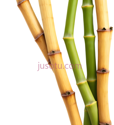 竹节, PNG