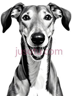 狗,黑白插画,黑白色调PNG