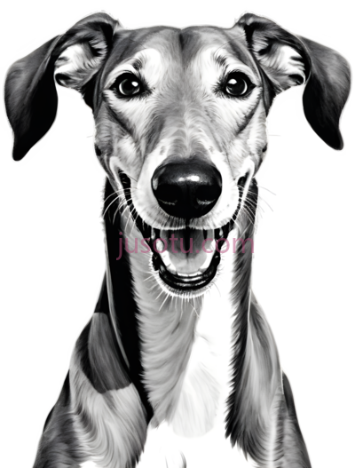 狗,黑白插画,黑白色调, PNG