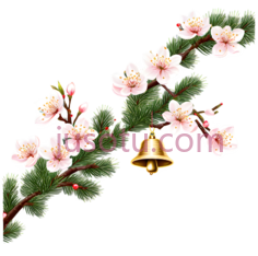 梅花,插画,白色PNG