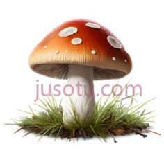 蘑菇,卡通,红色带白色斑点PNG