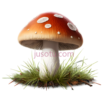 蘑菇,卡通,红色带白色斑点, PNG