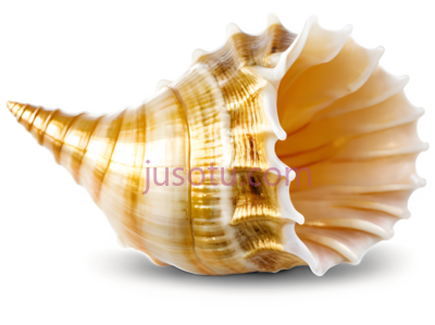 金色螺壳, PNG