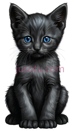 悲伤,小猫, PNG