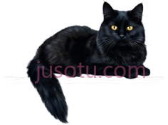 猫,插画,黑色PNG