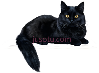 猫,插画,黑色, PNG