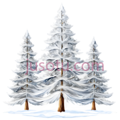 雪松树,插画,白色PNG