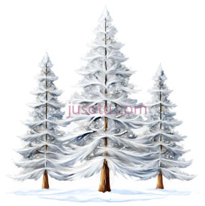 雪松树,插画,白色, PNG
