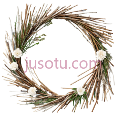 花环,自然风干,白色,绿色PNG