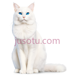 猫,坐姿,白色PNG