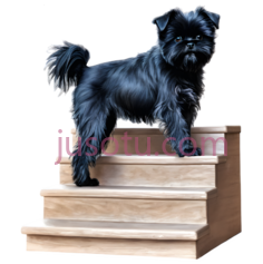 狗,站立,黑色PNG