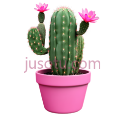 仙人掌,花盆,粉色PNG