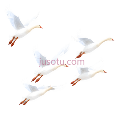 天鹅,卡通,白色, PNG