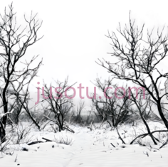 树木,冬季风景,黑白PNG