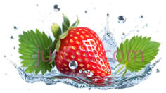草莓,生动,的水花,红色,绿色PNG
