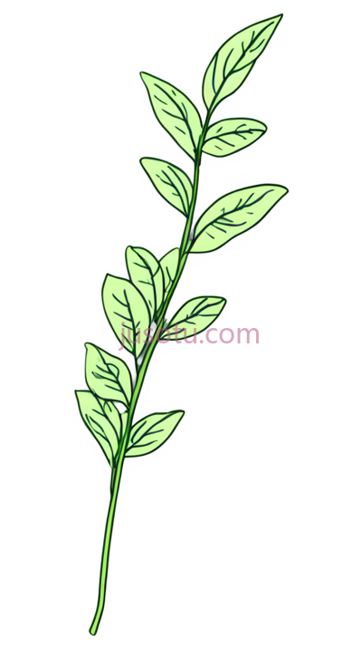 树枝,插画,绿色, PNG