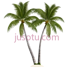 椰子树,插画,绿色,白色PNG