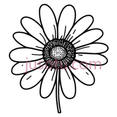 花,线条画,黑白PNG