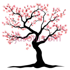 樱花,插画,粉色, PNG