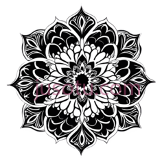 曼荼罗,花卉PNG