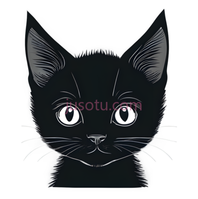 小猫咪,眼睛,鼻尖, PNG