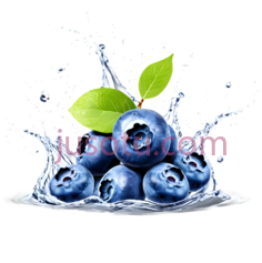 蓝莓,卡通,蓝色PNG
