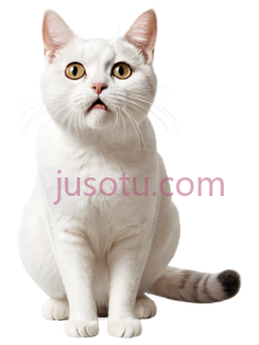 猫, PNG