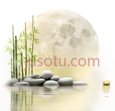 石头,竹子,白色,绿色PNG