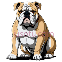 斗牛犬,卡通,棕色,白色PNG
